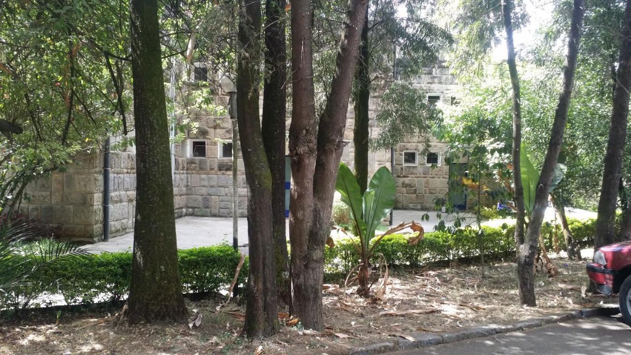 Ghion Hotel Addis Abeba Exterior foto