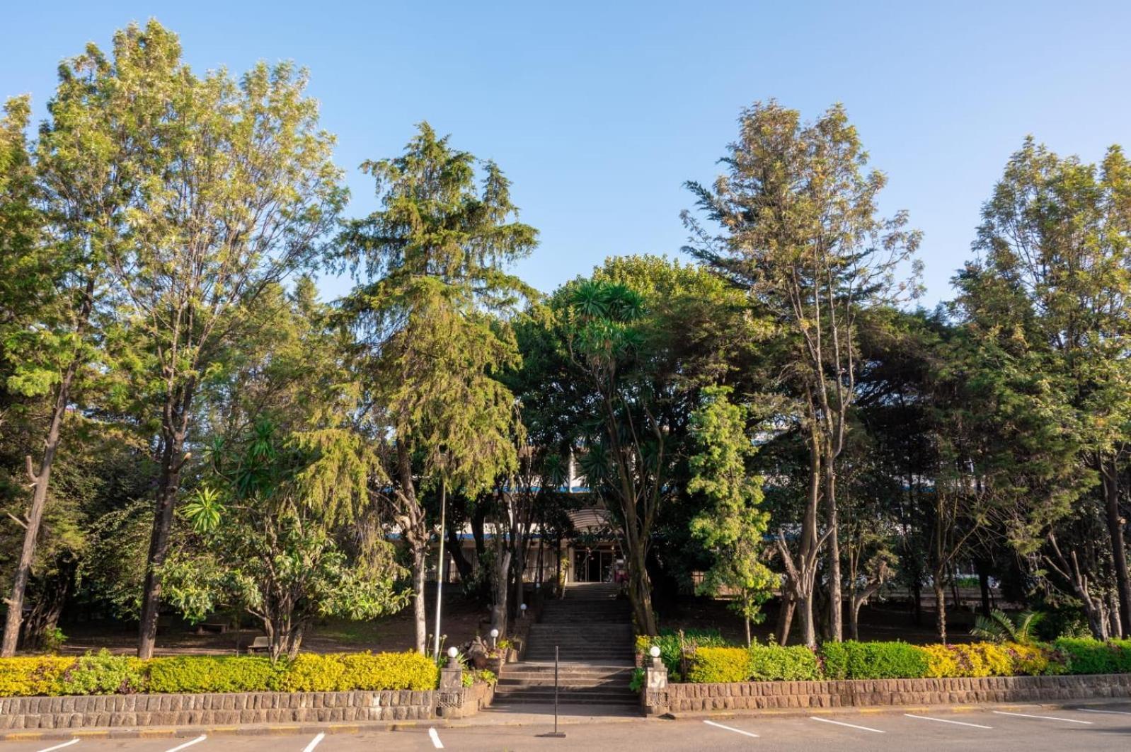 Ghion Hotel Addis Abeba Exterior foto